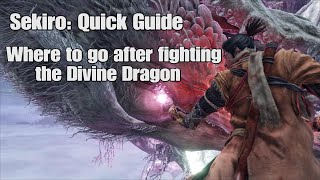 Sekiro: Where to go after Divine Dragon