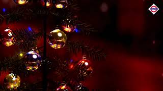 Jingle Bells Songs | Merry Christmas