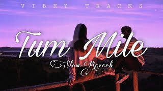 Tum mile {Slow+Reverb} || Lofi Remix || 8d Songs || Bollywood Lofi || VIBEY TRACKS