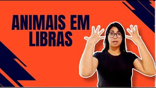 ANIMAIS em LIBRAS