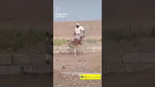 سنابات الزير سالم بشكل الجديد 😂