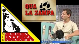 FABRIZIO BALSAMO PARLA DEL CANILE E DI PROBLEMI COMPORTAMENTALI DEI CANI 🐕‍🦺 🐾