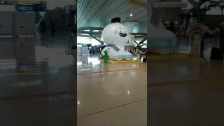 JALAN DIBANDARA #shortvideo #vlogdesa #bandara