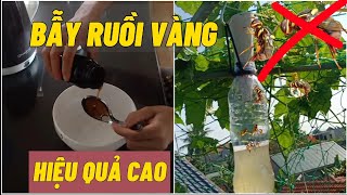 #60 Tự làm bẫy ruồi tại nhà dễ làm và hiệu quả cao