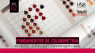 Master Class - Fundamentos de Colorimetria - Aula 2