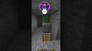 Minecraft Decoration Ideas_#22 #shorts