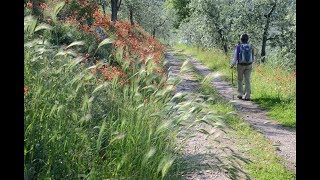 VIA DI FRANCESCO ASSISI-SPOLETO ON FOOT