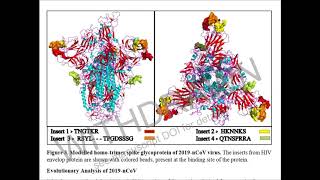 CV-19 /  NOW WHAT?  NEW DEVELOPMENTS.