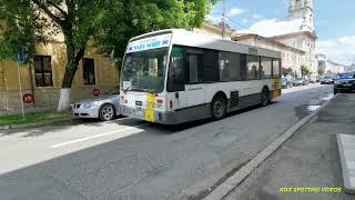 281 Autobuze in Sighetu Marmatiei / Buses In Sighetu Marmatiei - 16.Iun.2021