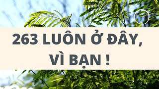 NHÀ CUNG CẤP OXY LỎNG HÀNG ĐẦU TP.HCM // Khí Công Nghiệp 263