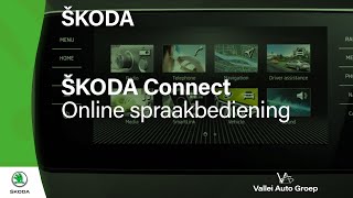 ŠKODA Connect   Online spraakbediening