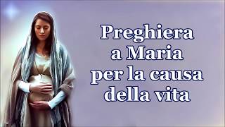 Preghiera a Maria per la causa della vita