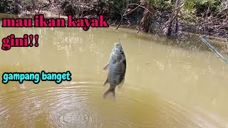 mancing ikanya banyak sungainya kecil