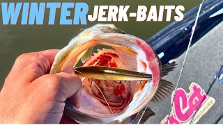 Jerk-Bait MASTERCLASS : Choosing the right jerk-bait / Correct presentations