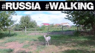 /Russia,​​ walking in the Volgograd region/ Прогулка в посёлке Рудня близ Чёрного озера.