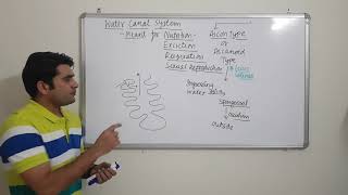 Phylum Porifera Part 2_Lecture 6