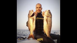 2x Dentex Stoneshot - Malta Deep Spearfishing - Denis Salamon | SPEARFISHERZ [2.7K]