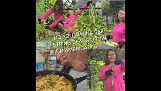 Really!! String Beans Grow in America?! I cooked fresh veggies from the garden