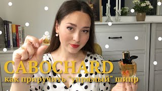 Cabochard EDP 2019 vs. Cabochard винтаж | Как приручить "упрямый" шипр | Cabochard Gres 2019