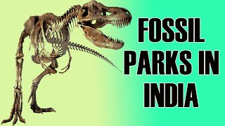 Fossil Parks in India || World's Largest Fossil Park || Dinosaur Museum in India