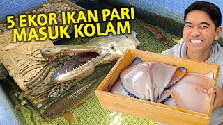 MASUKIN 5 EKOR IKAN PARI KE KOLAM! GAK NYANGKA SEMUA HEWAN MAKAN!