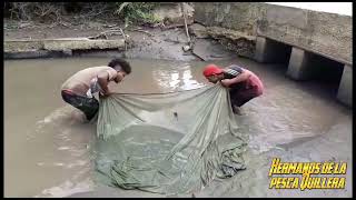 pesca con anzuelo y malla. en río y már esperó y les gusten mucho No olviden Suscribirse