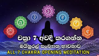 චක්‍ර 7ම අවධි කරන බයිනුරල් සංඛ්‍යාත භාවනාව! ඔබ බලාපොරොත්තු වන දියුණුව සුවය සතුට නිතැතින්ම ළඟා කරගන්න