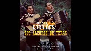 Mix De Puros Corridos De Los Alegres De Terán