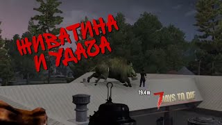 7 Days to Die - ЖИВАТИНА И УДАЧА