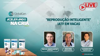 Acelerando na Cria - Reprodução inteligente IATF em vacas