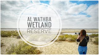 Al Wathba Wetland Reserve Abu Dhabi | 4k