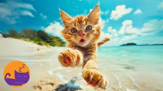 EXTREMELY Soothing Music for Cats and Kittens - Immediate Relief 🐱☁️