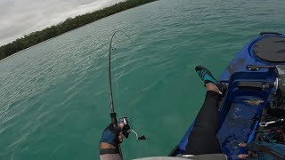 Fish STILL biting during Winter in Mauritius.. Amazing!!!