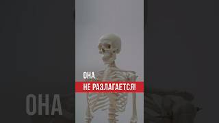 Эта кость из копчика не разлагается. #думу #аррахма  #ислам #судныйдень