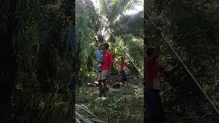 Azmi ditengah hutan KALIMANTAN #anakindonesia #kalimantan