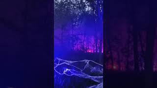 Halloween im Frankenhof - Gruselwald 🎃👻 #halloween #nebel #mystic #laser #light #forest #tierpark