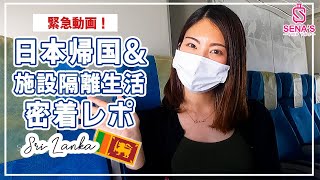 【日本人でも帰国困難】帰国予定者必見！帰国の様子から施設隔離生活まで密着レポ