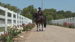 Cowboy Dressage with Eitan Beth-Halachmy, Shoulder-In