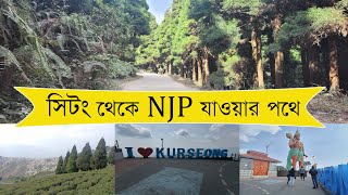 Sittong to NJP | সিটং থেকে NJP যাওয়ার পথে কার্শিয়াং | বাগোড়া ফরেস্ট | চিমনি পার্ক | ডাউহিল ভিউ