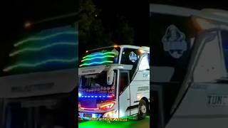 ARTIS BUS TUNGGAL JAYA ( TJ ) - KIDS PANDA MODE MALAM HARI #sorts