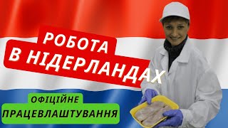 Eurocash Agency / Работа в Нидерландах / Робота в Нідерландах