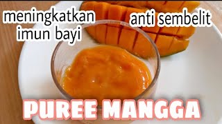 Resep MPASI Puree Mangga untuk bayi 6 bulan || Snack MPASI