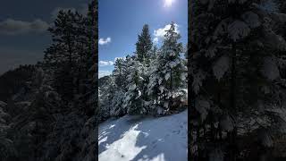 WINTER hiking above Golden, Colorado #shorts