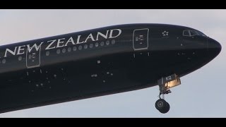 RARE!!! | Air New Zealand 777-300 Landing at Chicago O'Hare