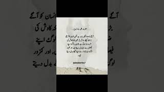 Hazrat Ali quotes #viralvideos #poetry #quotes #urdupoetry #love #sadpoetry #explore #viralvideo #1k