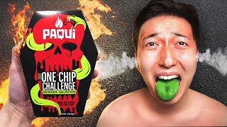 We Ate The NEW Worlds SPICIEST Chip - One Chip Challenge (2023)