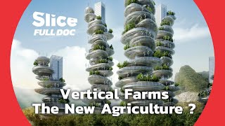 Demographic Growth : Are Vertical Farms the Solution? | FULL DOCUMENTARY