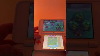 Animal Crossing New 2DS XL vs. Nintendo Switch OLED