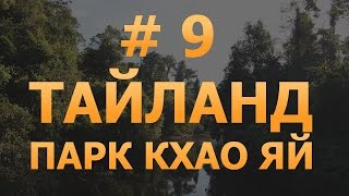 # 9 - Тайланд. Опасный парк Кхао Яй. Животные в естественной среде обитания.