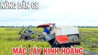 Cảnh Máy Cắt Lúa KUBOTA Bị Mắc Lầy Kinh Hoàng Khi Chạy Vào Ruộng Này | Nông Dân 68 .